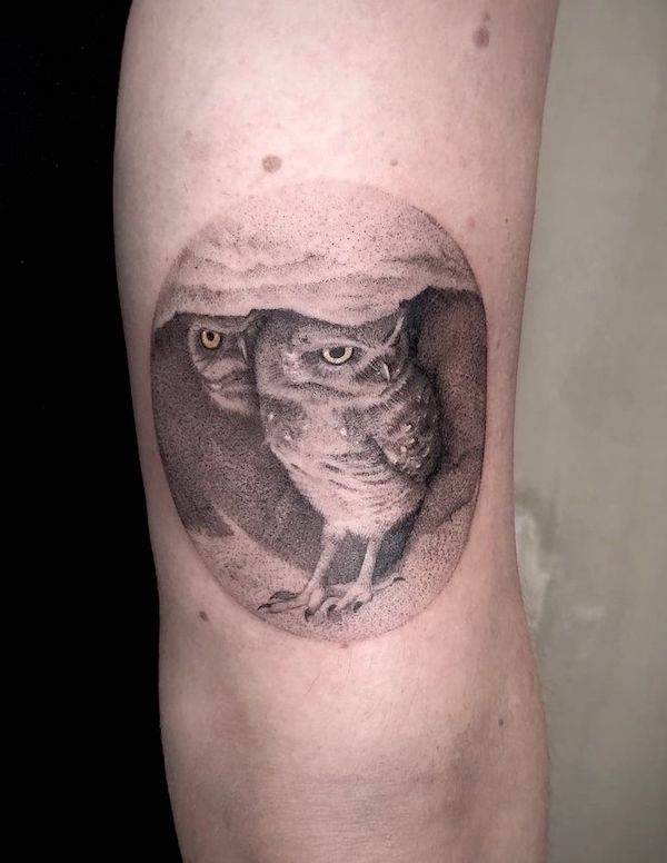 Tatuaggio realismo gufi di @igorvanderlaan