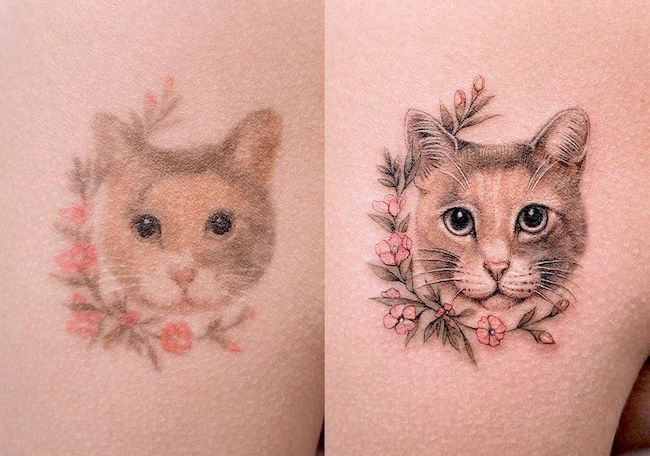 Copertura del tatuaggio del gatto di @dan_tattooer