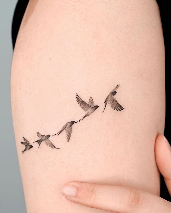 Tatuaggio di uccelli che rappresenta la crescita di @choiyun_tattoo