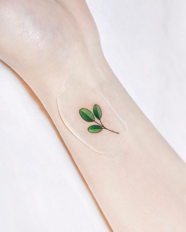 Tatuaggio minimalista di piccole foglie sul polso di @tattooist_dree