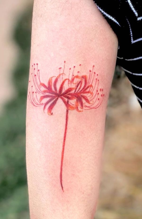 Red spider lily arm tattoo by @victoriaatattoos -Red spider lily flower tattoo con significato