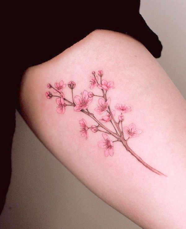 Sakura - tatuaggio di fiori giapponesi di @marcelabadolatto - Tatuaggi di fiori di ciliegio con significato