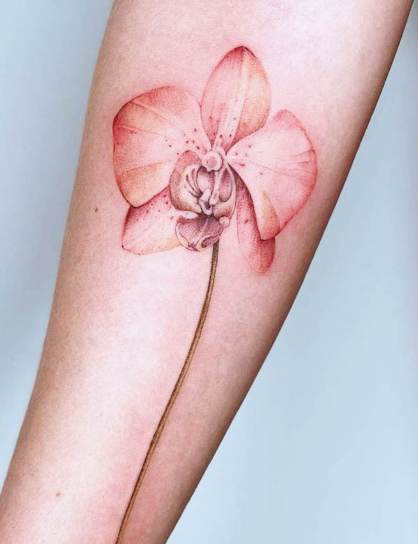 tatuaggio del braccio con orchidea rossa di @carinsilver_tattoo