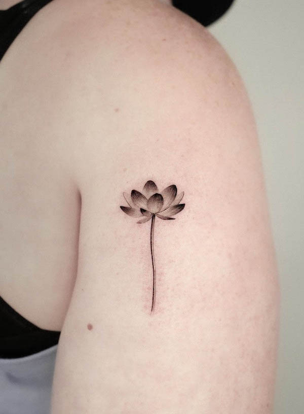 Piccolo loto tatuato da @frommay_tat