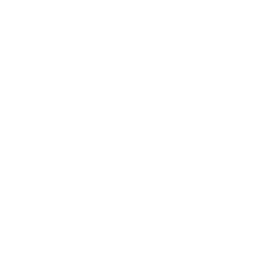 Veronica Tudor